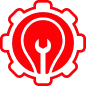 Customizable audits